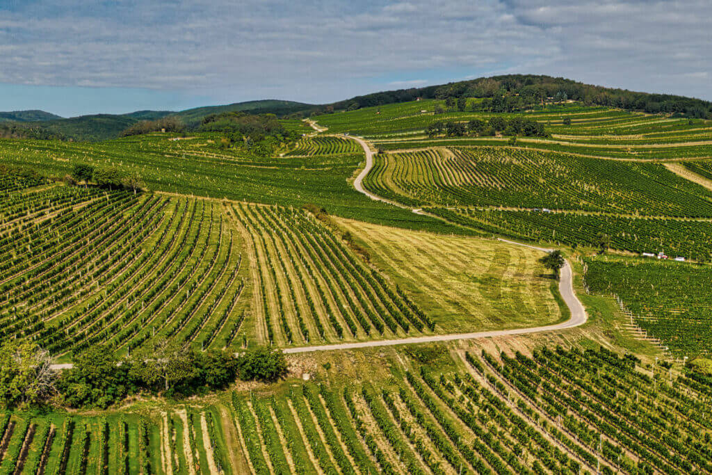 region_mittelburgenland-1024x683